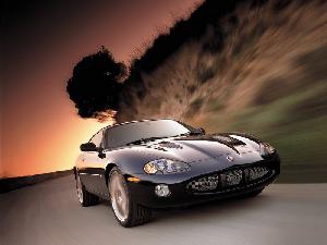 Jaguar